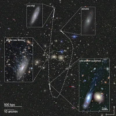 Галактика NGC 6951