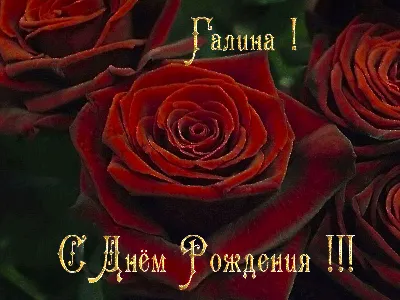 Сердце шар именное, красное, фольгированное с надписью \"С днем рождения,  Галина!\" - купить в интернет-магазине OZON с доставкой по России  (1176865990)