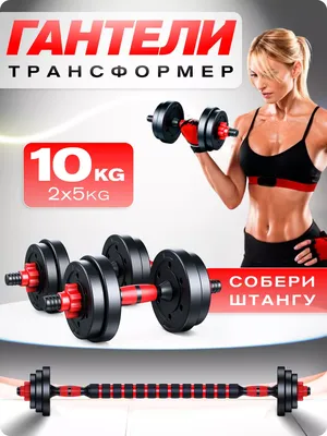 Разборные гантели FitnessLive 10019188 2 x 20 кг, green - купить в Москве,  цены на Мегамаркет