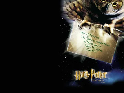 Обои: Гарри Поттер и Орден Феникса / Обои фильма «Гарри Поттер и Орден  Феникса» (2007) #543951