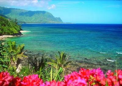 Лагуны Гавайи — стоковые фотографии и другие картинки Гавайские острова -  Гавайские острова, Без людей, Береговая линия - iStock