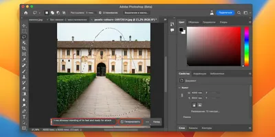 Как использовать генеративную заливку в Photoshop - Лайфхакер