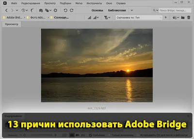 13 причин использовать Adobe Bridge | Фишки фотошопа | Дзен