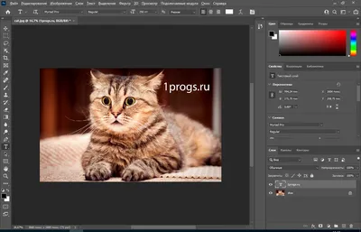 Adobe Photoshop 2024 v25.4 + Firefly AI Support / Neural Filters на русском  крякнутый скачать бесплатно программу на компьютер Windows с сайта 1progs