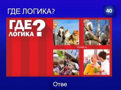 Белорусский государственный университет транспорта - Где логика?