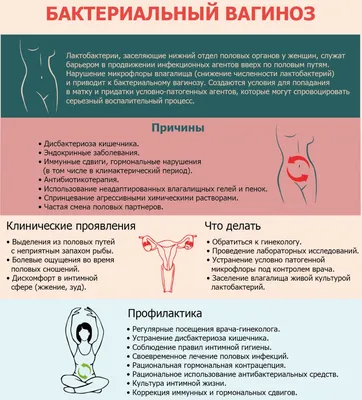 Внутренняя Стенка Орбиты Полости Или Гнездо Черепа В Котором Находится Глаз  И Его Придатки — стоковая векторная графика и другие изображения на тему  XIX век - iStock