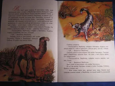 Любимая еда верблюда верблюд-терний и другие заводы пустыни Иллюстрация  вектора - иллюстрации насчитывающей природа, индийско: 58258362