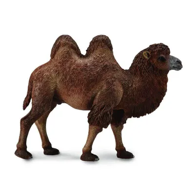 Игра Али-Баба и строптивый верблюд | Интернет-магазин Континент игрушек