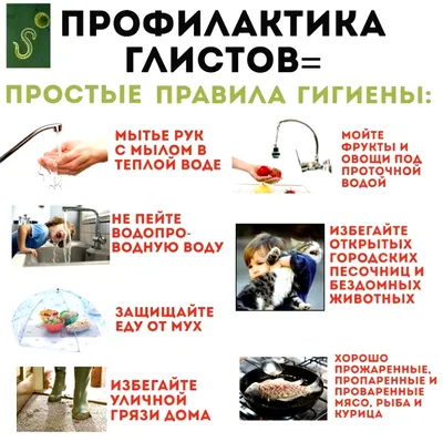Диахим-Набор для исследования на гельминты по Рабиновичу (50 определений) -  купить в Екатеринбурге