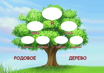 Фоны с Генеалогическим деревом семьи: Украсьте свой экран красивыми  картинками | Генеалогическое дерево семьи Фото №1207867 скачать