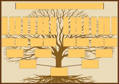Этапы создания генеалогического дерева от сервиса Код памяти