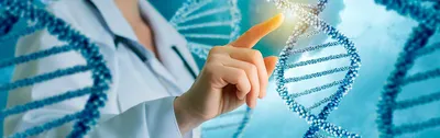 Генетика тромбофилии, обмен фолатов с описанием | ВИРА-Центр г. Нефтеюганск