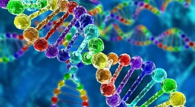 Волновая генетика: Передовая наука, расширяющая границы генетического  исследования | Китай наизнанку | Дзен