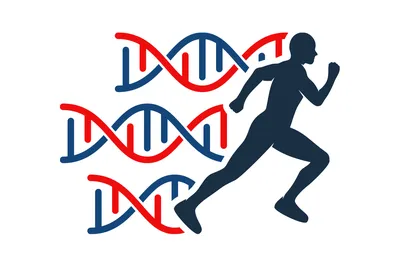 Генетика человека | Проекты