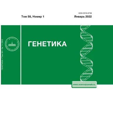 Спортивная генетика – проверенный метод добиться результатов