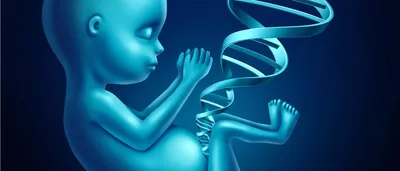 Медицинская генетика: направления, диагностика и лечение пациентов с  редкими наследственными обменными заболеваниями в МИПЗ, стоимость  консультации генетика
