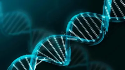 Значок ДНК Плоский Векторные Иллюстрации Генетика И Медицина, Молекула,  Хромосома, Символ Биологии. Клипарты, SVG, векторы, и Набор Иллюстраций Без  Оплаты Отчислений. Image 90838827