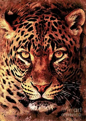 Gepard stock image. Image of animal, airborne, domestic - 117077883
