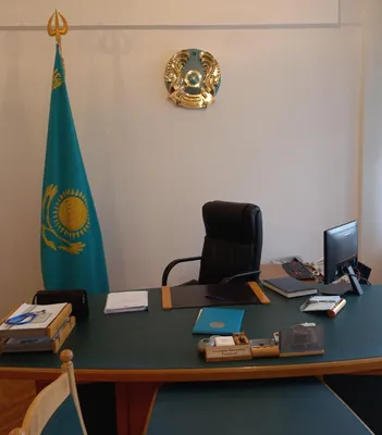 Шеврон флаг Казахстана вышитый золотом купить в интернет магазине СПб