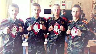 Почему Беларуси не подходит герб «Погоня»? - Минская правда