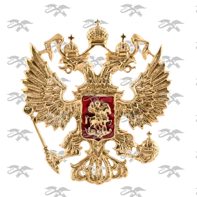 День Герба Российской Федерации | Управление Роспотребнадзора по  Калининградской области