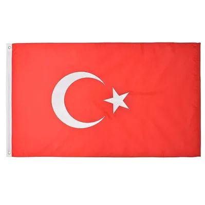 Государственный герб Турции Герб Флаг Турецкой Республики День Турции,  другие, эмблема, флаг, другие png | Klipartz