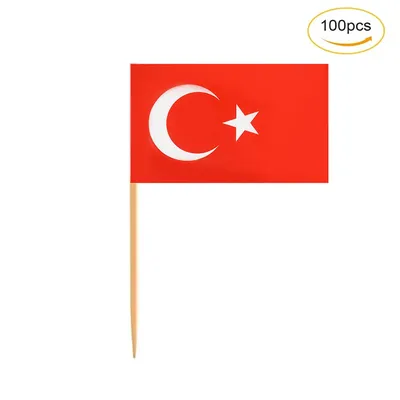 Значок. Флаг Турции / Turkey - купить с доставкой по выгодным ценам в  интернет-магазине OZON (314578620)
