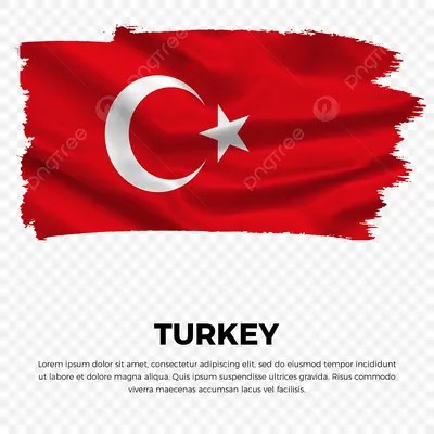 Флаг Турции, 1х2м (id 101618755), купить в Казахстане, цена на Satu.kz