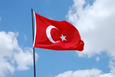 Флаг Турции на шёлке, 90х135 см - для ручного древка - купить Флаг по  выгодной цене в интернет-магазине OZON (585727363)