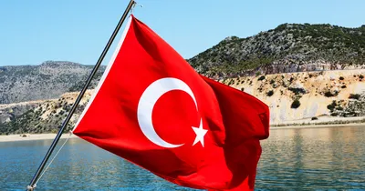 100 шт./компл., мини-Турецкий флаг, зубочистка, баннер, украшение для  торта, семейный бар, ресторан, паб, десертный аксессуар, флаг Турции |  AliExpress