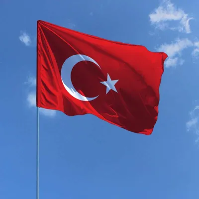 Флаг Турции Значок, Стиль Клипарты, SVG, векторы, и Набор Иллюстраций Без  Оплаты Отчислений. Image 68454988
