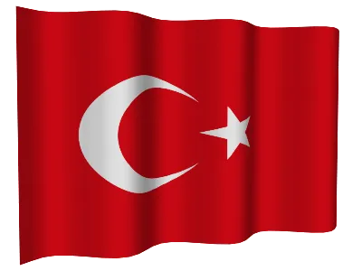 Флаг Турции, 90 х150 см | AliExpress