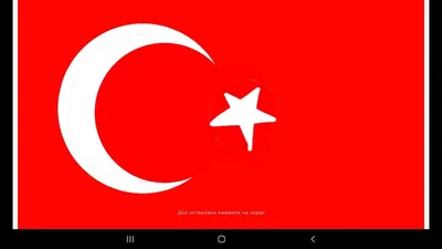 Флаг Турции 2х1 (id 87138391), купить в Казахстане, цена на Satu.kz