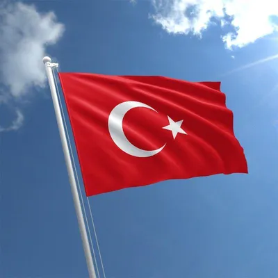 Чехол SignumCase для Apple AirPods Герб Турции темно-синий, купить в  Москве, цены в интернет-магазинах на Мегамаркет