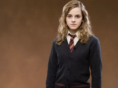 Гарри Поттер: 8 раз, когда Гермиона грубо нарушила школьные правила | Мир  комиксов и кино | Дзен