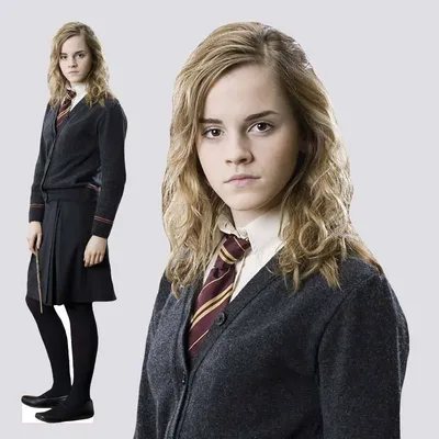 Ростовая фигура Гермиона Грейнджер (Hermione Granger) вид 2 (393x1500 мм) -  купить по выгодной цене | Магазин шаблонов Принт100