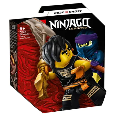 Конструктор LEGO NINJAGO 71733: Легендарные битвы: Коул против Призрачного  Воина - Магазин игрушек - Фантастик