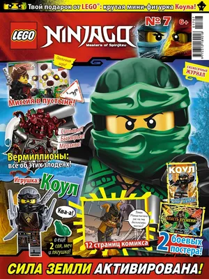 Конструктор Огненный дракон ЭВО Кая 71762 LEGO Ninjago купить в  Новосибирске - интернет магазин Rich Family
