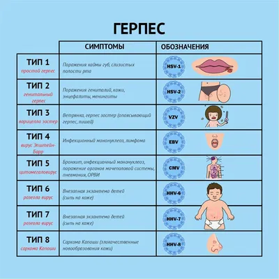 Герпес: причины, симптомы, лечение Поли-клиника