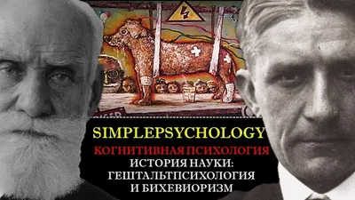 Что такое гештальтпсихология: основные идеи и принципы — karpachoff.com