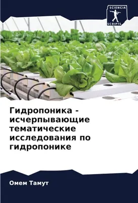 Стеклянная Ваза для выращивания растений гидропоника подставка на 3 колбы  Паприка Корица - купить в Москве, цены на Мегамаркет