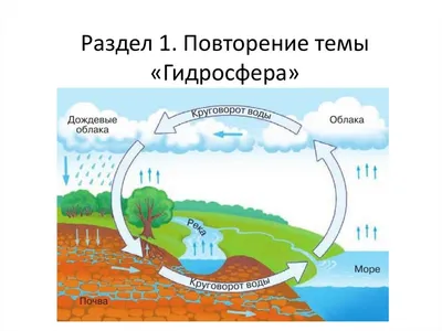 География. Климат и гидросфера. Рабочая тетрадь для 8 класса, ч. 1 |  Raamatud | Kirjastus Koolibri