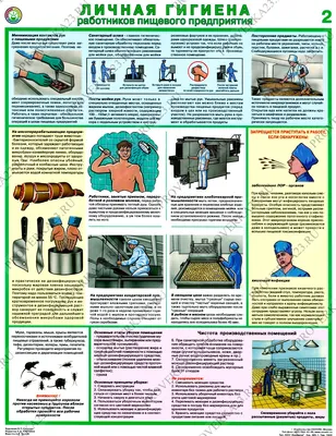 Плакат личная гигиена | Плакат, Личная гигиена, Детский сад