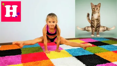 женский акробат вверх ногами разделить позы гимнастики девушка с сильным  гибким телом на белом фоне Стоковое Фото - изображение насчитывающей  шикарно, гибкость: 217635872