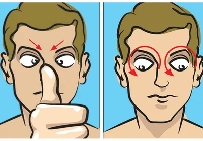 Восстановление зрения по методу Жданова. Гимнастика для восстановления  зрения | Пикабу