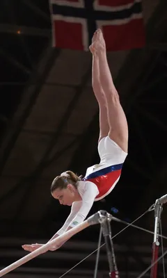 600 гимнасток приняли участие во Всероссийских соревнованиях по  художественной гимнастике — Управление физической культуры и спорта  Администрации города Тулы