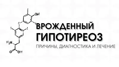 Книга Мария Золотова Щитовидка с автографом + курс \"ЩИТОВИДНАЯ ЖЕЛЕЗА.  АУТОИММУННЫЙ ТИРЕОИДИТ. ГИПОТИРЕОЗ\"