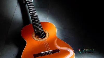Какую гитару купить для начинающих: 5 бюджетных вариантов акустических гитар  для новичков