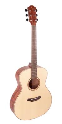 Электрическая гитара ST, 39 дюймов, 6 струн, 21 лад, корпус из липы,  электрическая гитара с динамиком, необходимые детали и аксессуары для гитары  | AliExpress