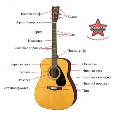 Акустическая гитара Yamaha F310 TBS: купить в Минске, цена | Muz.by